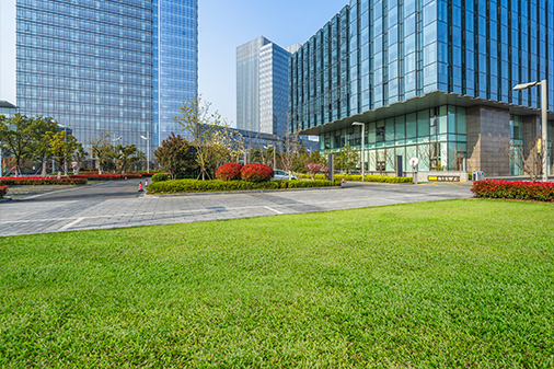 Commercial Landscaping Service