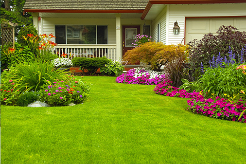 Residential Landscaper Service